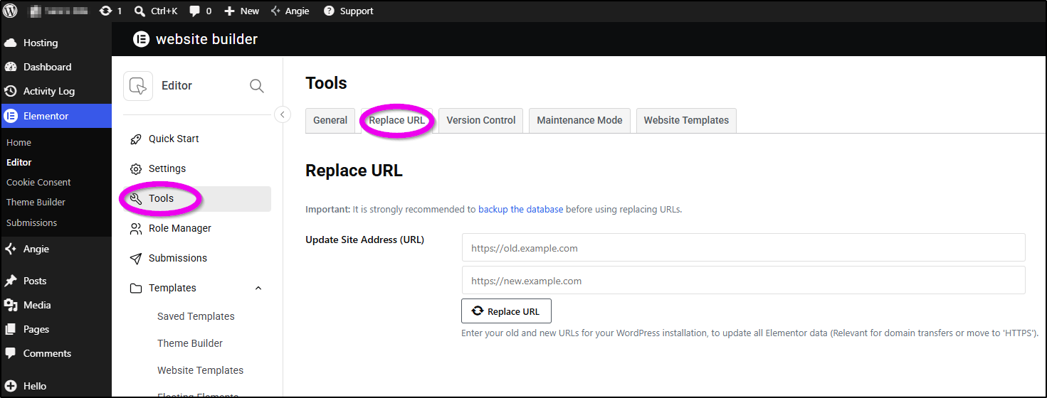 Elementor Tools Replace URL tab for HTTPS and domain fixes